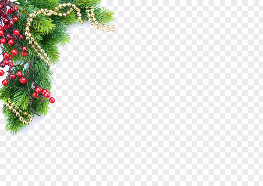 Christmas Decorations Tree Decoration Stock Photography Illustration PNG