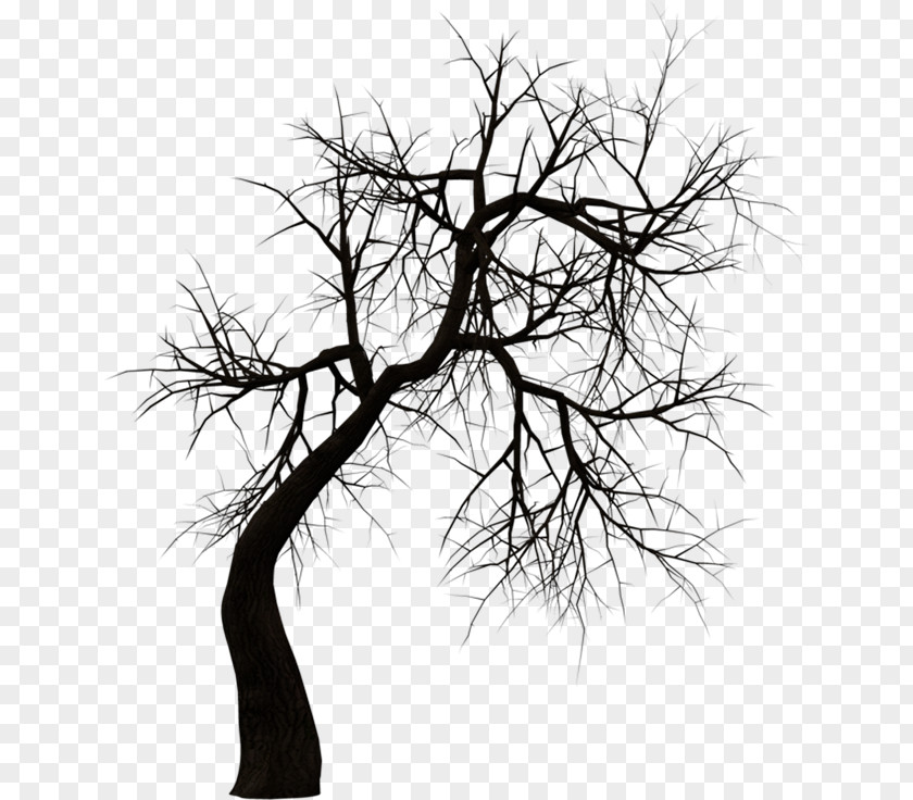 Horror Kuntilanak Terbang Tree Clip Art PNG