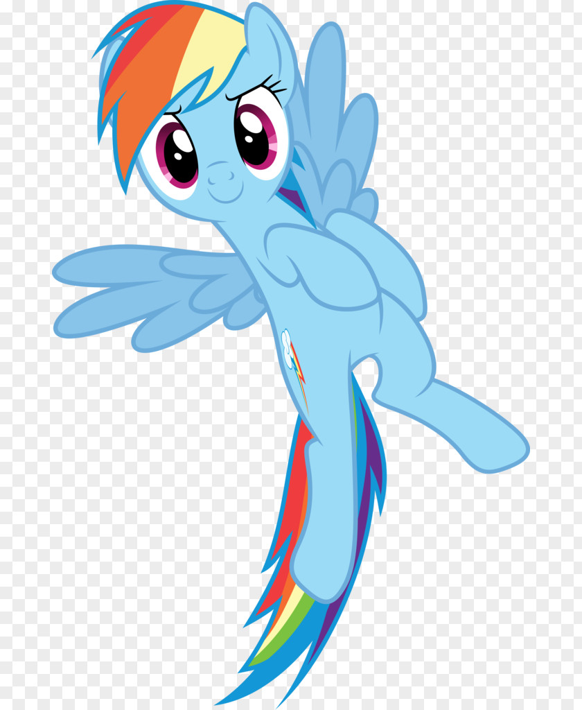Rainbow Dash Likes Girls Pony Twilight Sparkle Applejack Rarity PNG