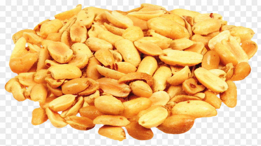 Seed Cashew Fruits Background PNG