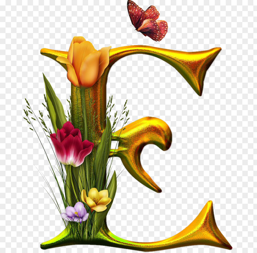 Z Letter Russian Alphabet Blackletter Floral Design PNG