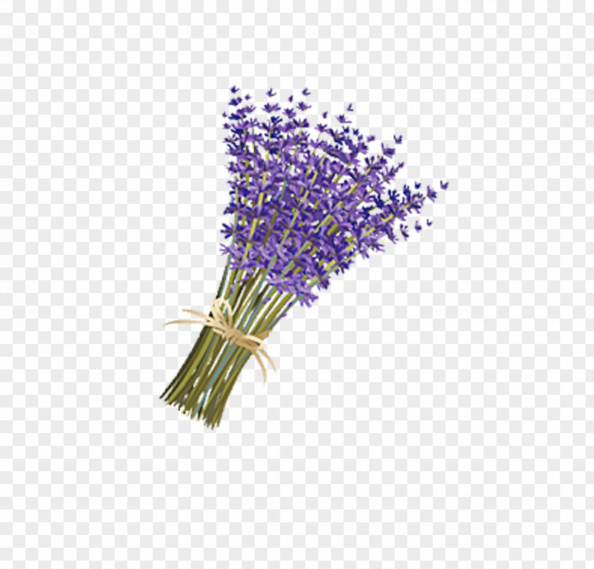 A Bouquet Of Purple Lavender Floating Pattern Drawing Violet PNG