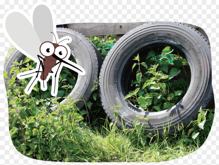 Anti Mosquito Tire Stock Photography Royalty-free PNG