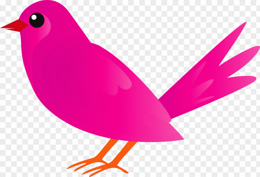 Bird Beak Pink Songbird Perching PNG