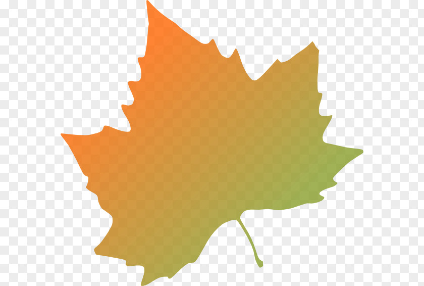 Fall Leaf Cartoon Platanus Orientalis Autumn Color Clip Art PNG
