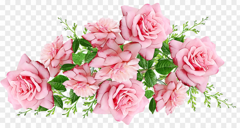 Garden Roses PNG