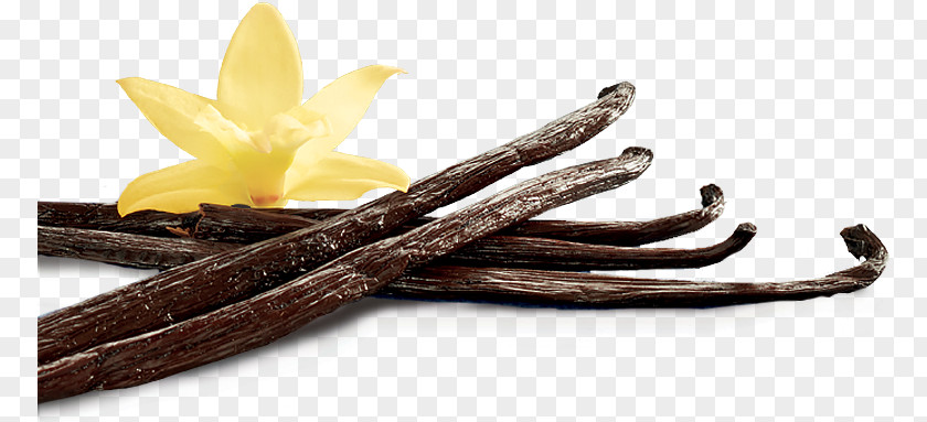 Vanilla Ganache Vanillekipferl Spice Pod PNG