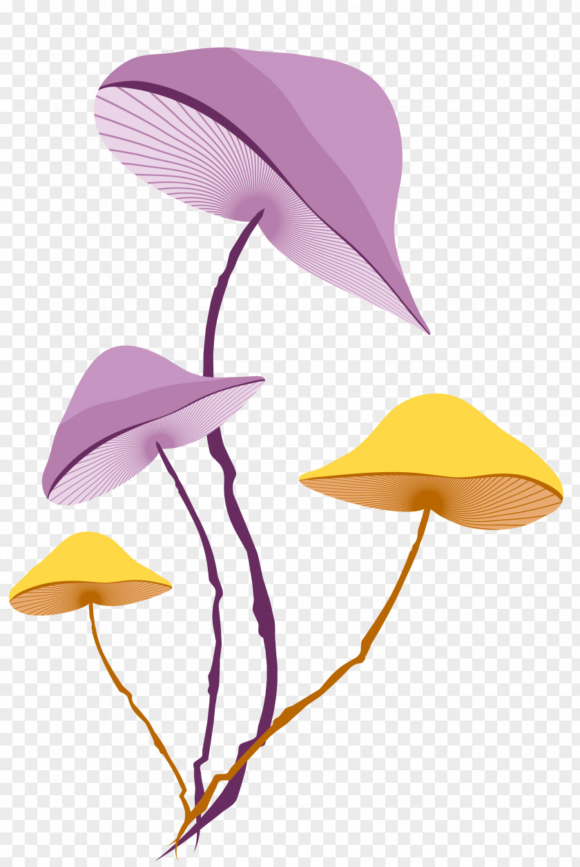 Vector Purple Yellow Mushroom Material Stock Photography Clip Art PNG