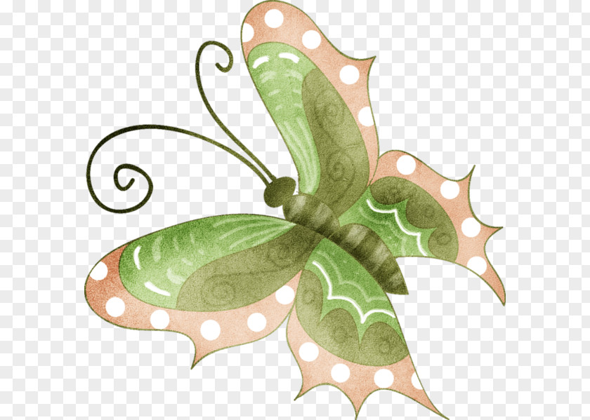 A Butterfly Clip Art PNG