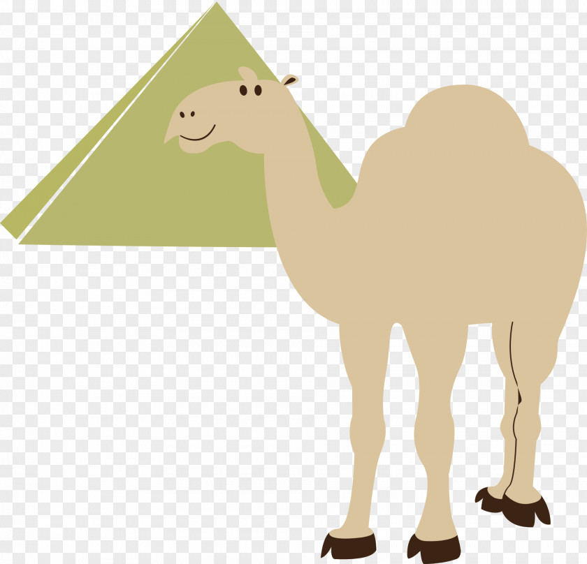 Camel Egyptian Pyramids Cairo Clip Art PNG