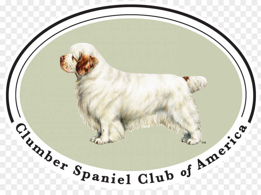 Clumber Spaniel Dog Breed Companion American Cocker PNG