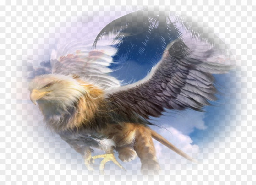 Griffin Legendary Creature Mythology Dragon Eagle PNG