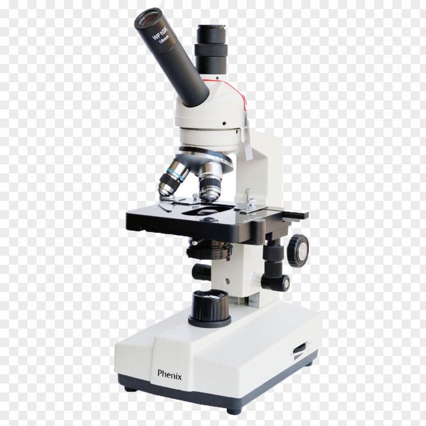 Latest Microscope Clip Art PNG