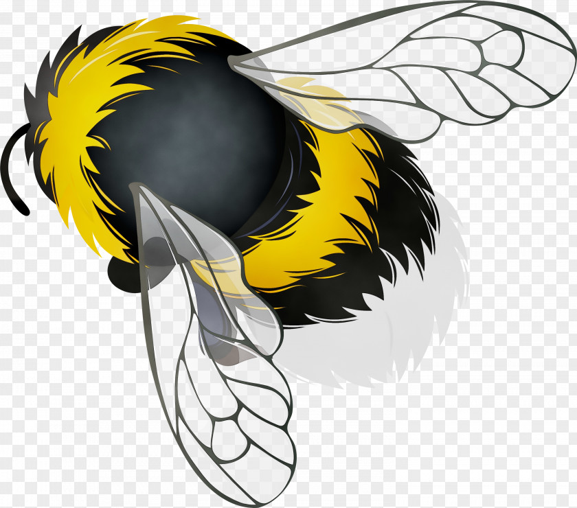 Pollinator Carpenter Bee Background PNG