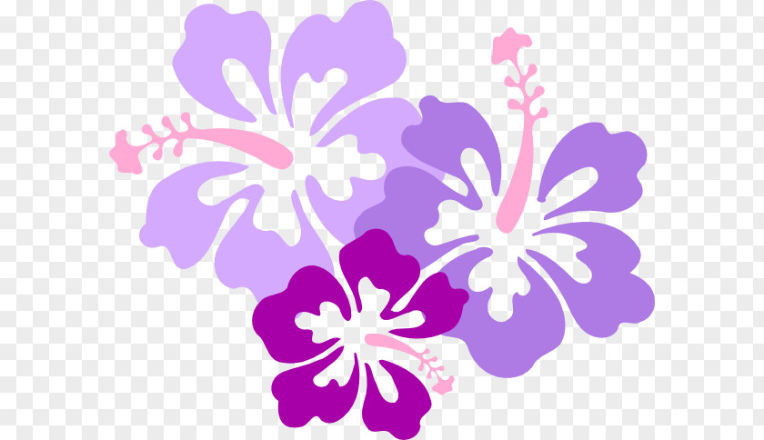 Purple Hawaii Hawaiian Language Clip Art Rosemallows Flower PNG