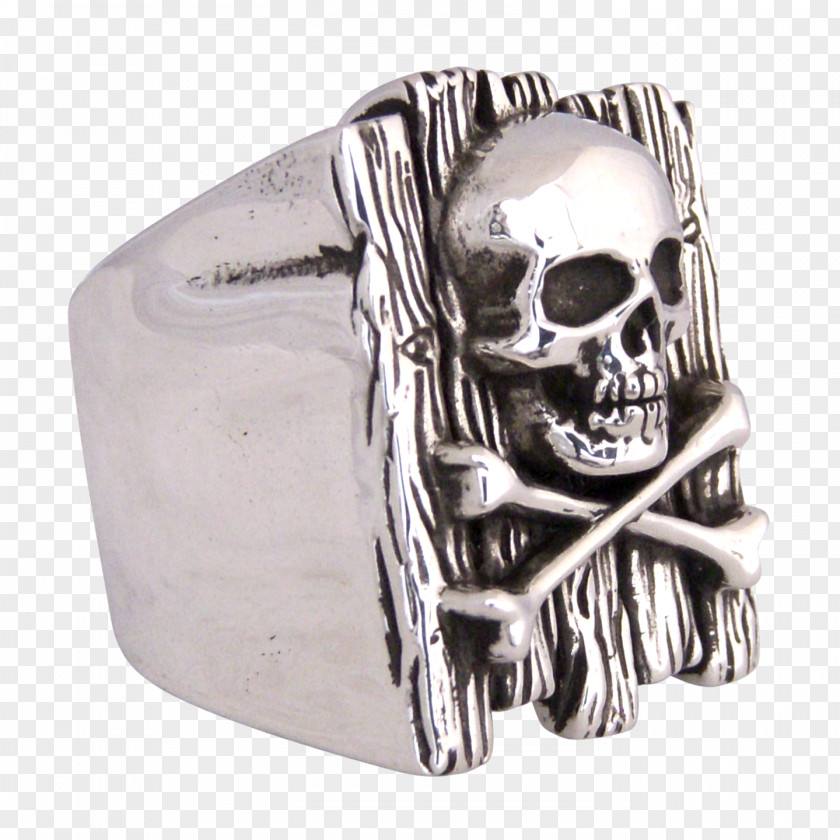Silver Skull Skeleton PNG
