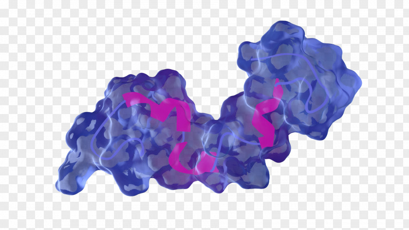 Subcribe Tau Protein Purple Blue PNG