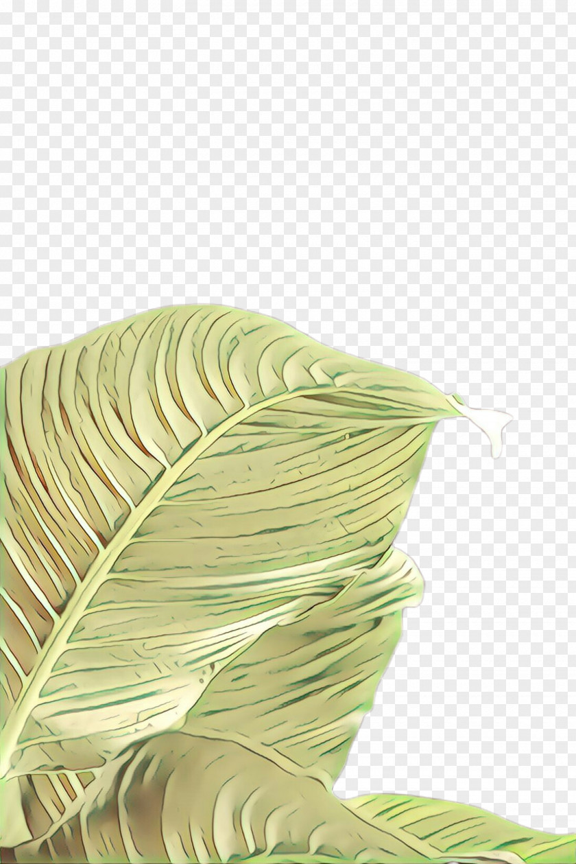 Thread Plant Green Leaf Line PNG