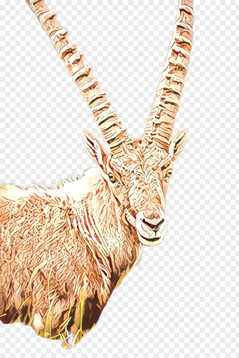 Antelope Goats Horn Waterbuck Cow-goat Family PNG