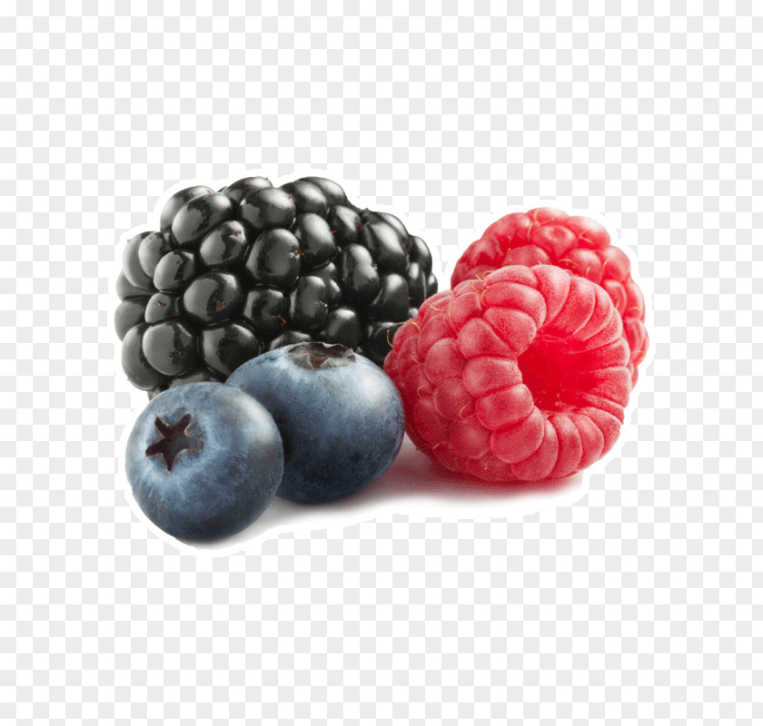 Berries Carbohydrate Food Nutrition Blueberry PNG