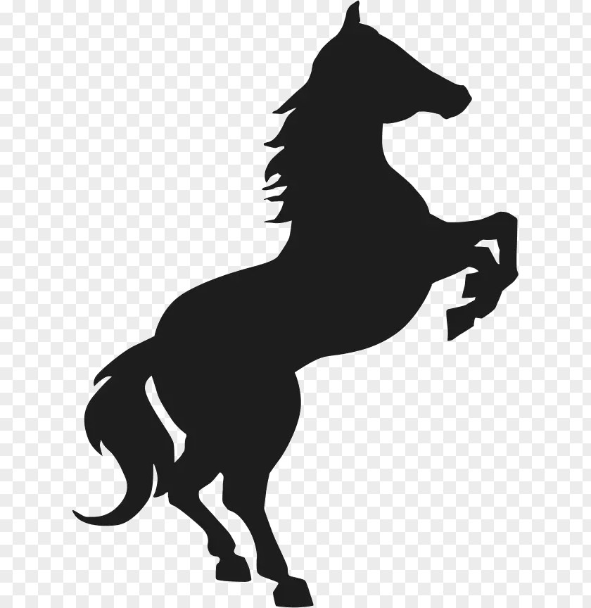 Mustang Friesian Horse Stallion Black Clip Art PNG