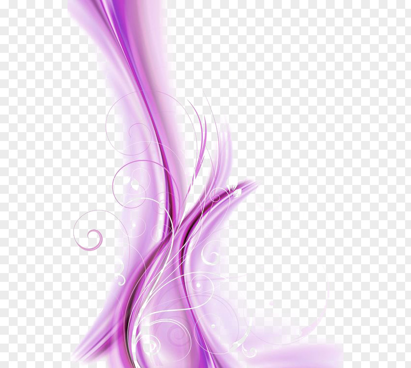 Pink Lines Light Purple Curve Download PNG