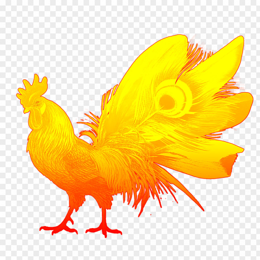 Rooster Vector Graphics Illustration Image Photograph PNG