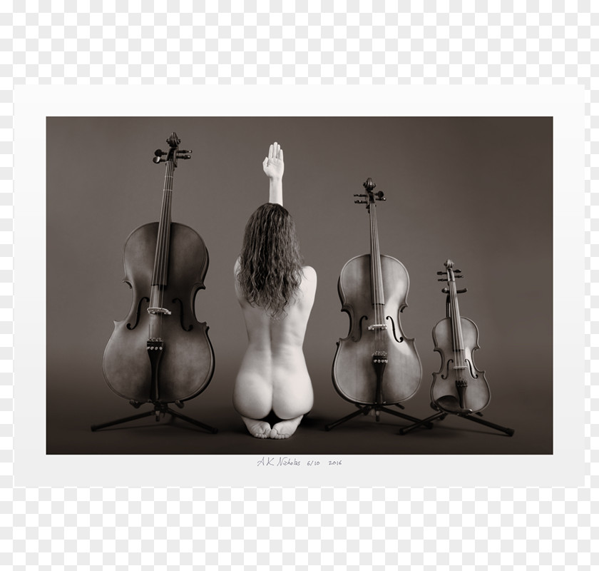 Violin Cello Still Life PNG