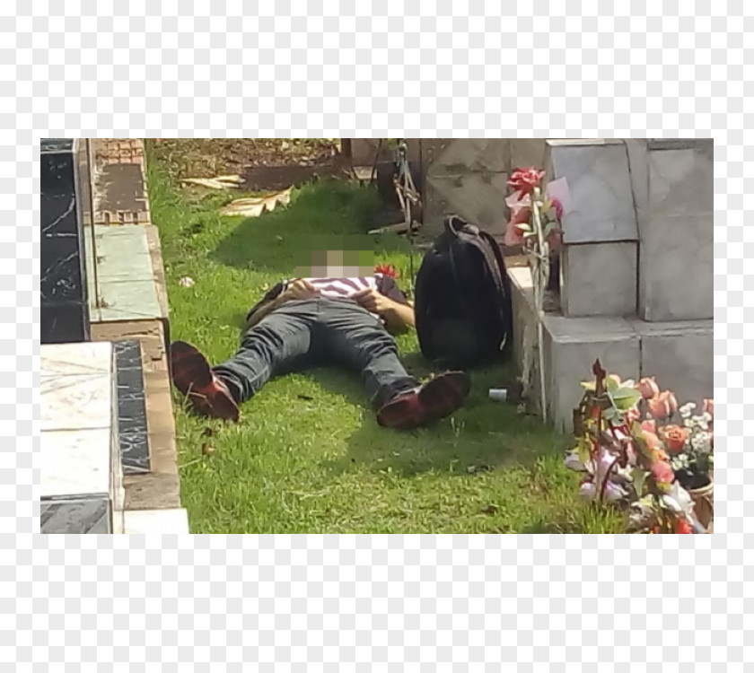 Cemetery Grave Rondonópolis Man Death PNG