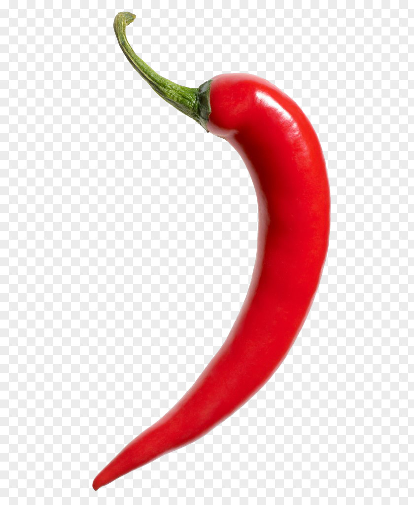 Chili PNG clipart PNG