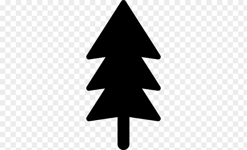 Christmas Tree Fir Pine PNG