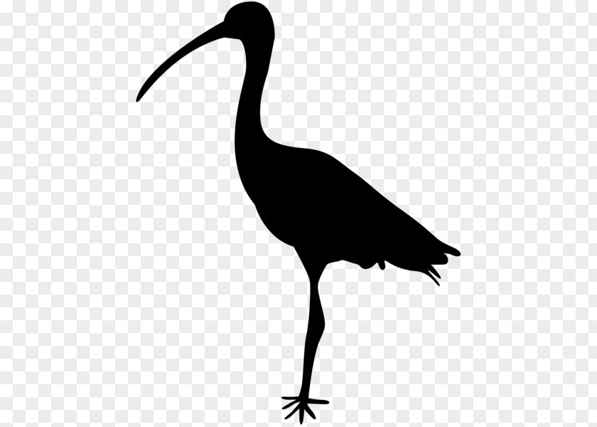 Crane Bird Heron Ibis Clip Art PNG