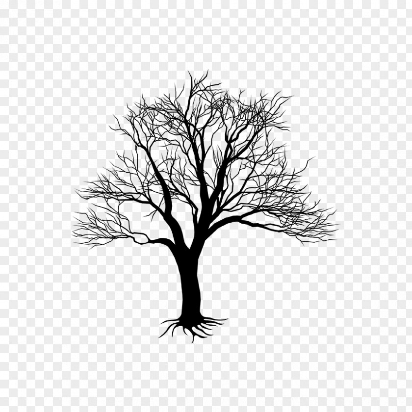 Drawing Grass Tree Branch Woody Plant Twig PNG