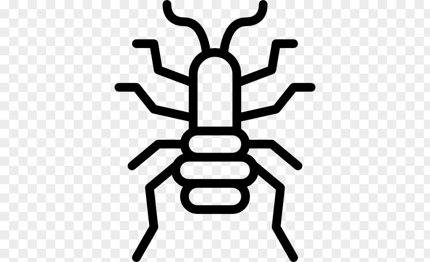 Fleas Insect Flea Louse Clip Art PNG