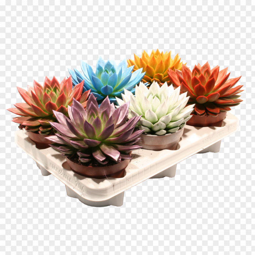 Flower Cut Flowers Flowerpot Artificial Houseplant PNG