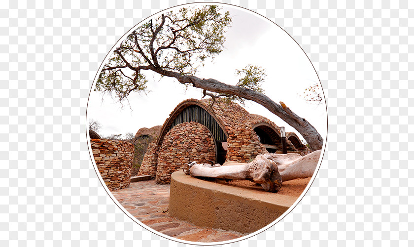 Garden Route South Africa The Mapungubwe Interpretation Centre Kingdom Of Architecture PNG
