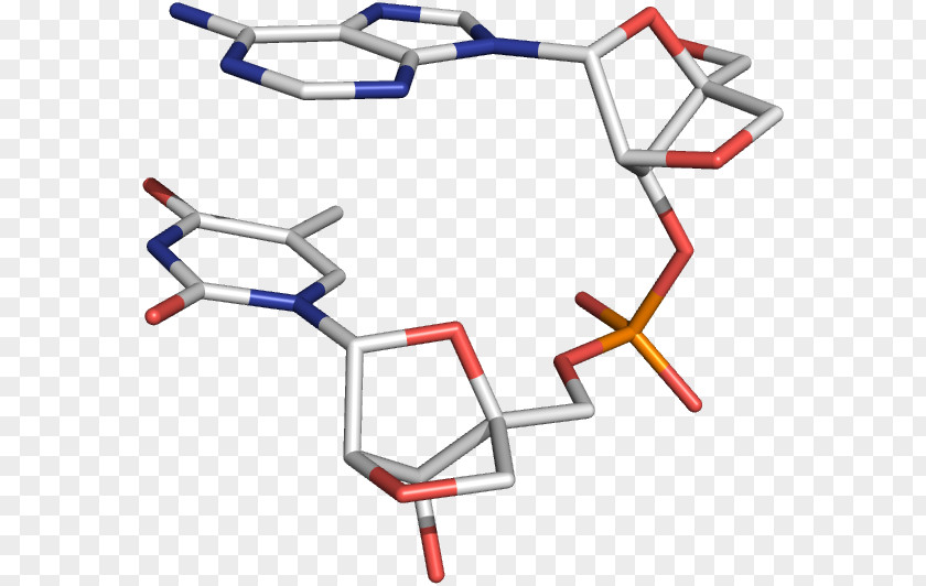 Locked Nucleic Acid Oligonucleotide Three-dimensional Space Analogue PNG