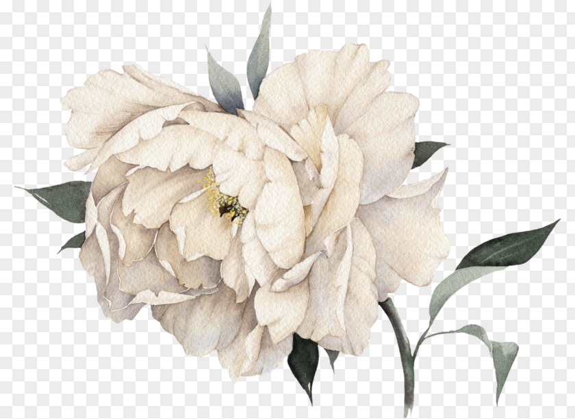 Magnolia Tulip Bouquet Of Flowers Drawing PNG