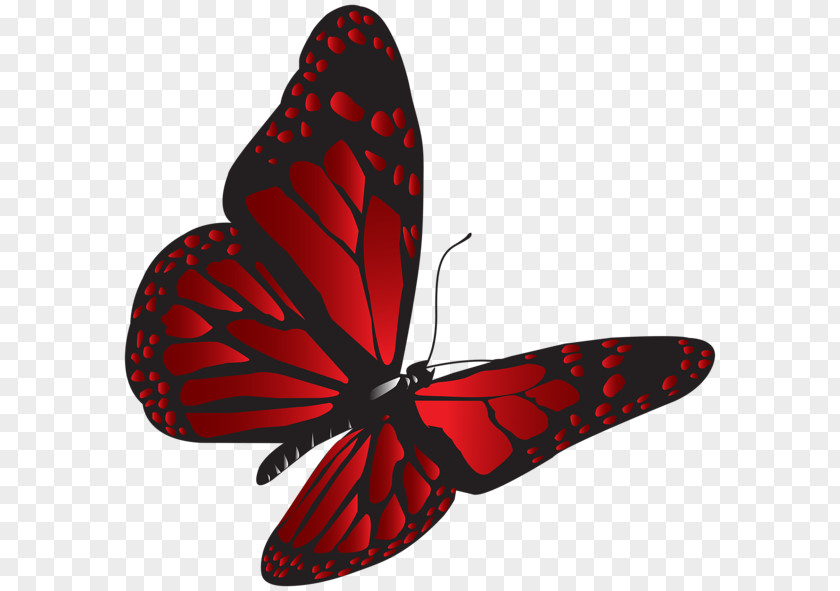 Red Butterfly Clip Art PNG
