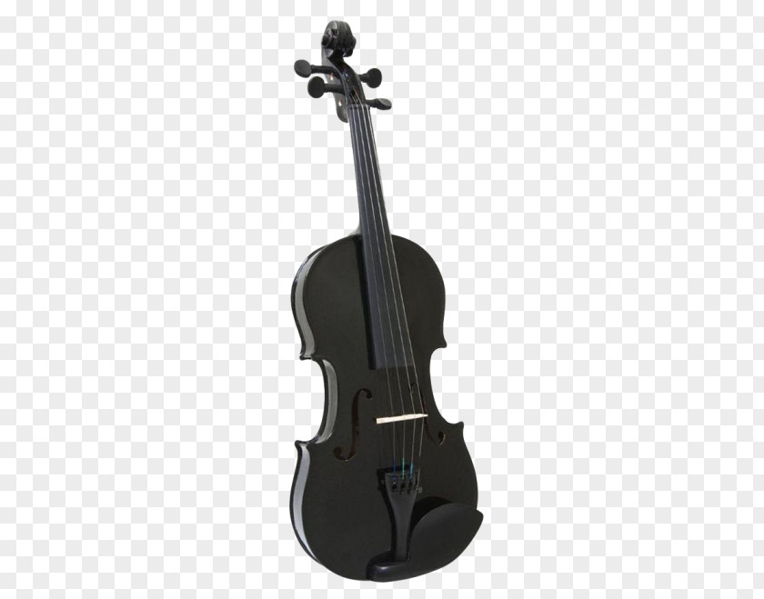 Violin Bass Cello Viola PNG