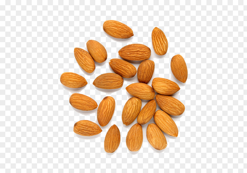 Almond Nut Fruit PNG