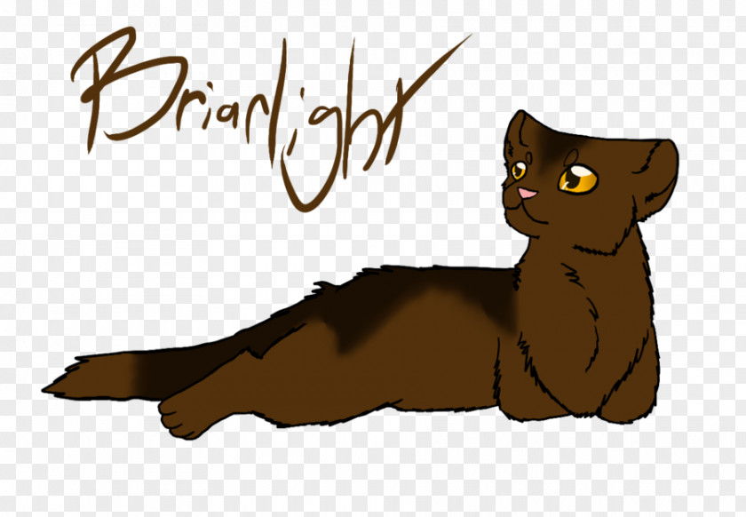 Cat Whiskers Warriors Briarlight Erin Hunter PNG