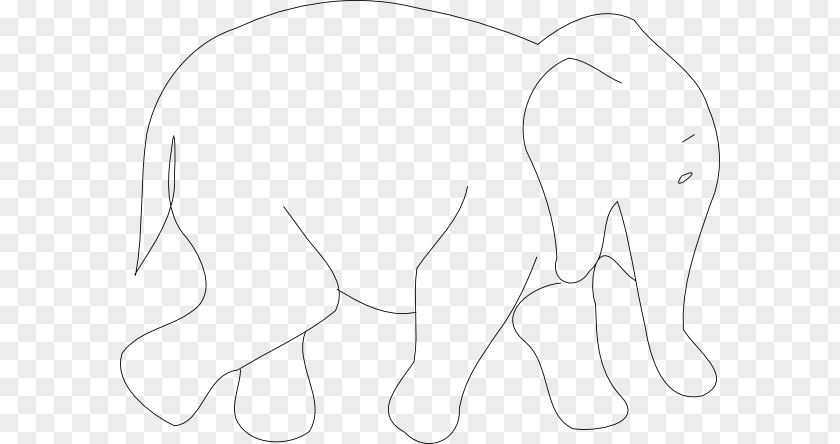 Elephant Outlines Line Black And White Angle Point PNG