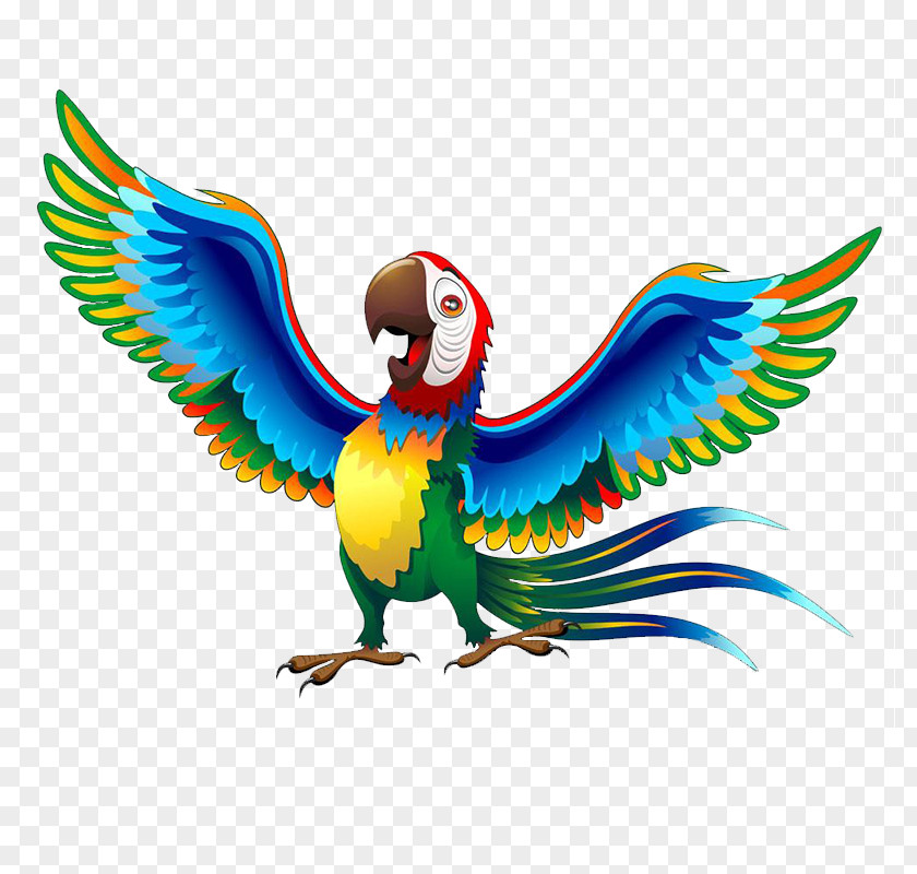 Parrot Gif Bird Macaw Clip Art Drawing PNG