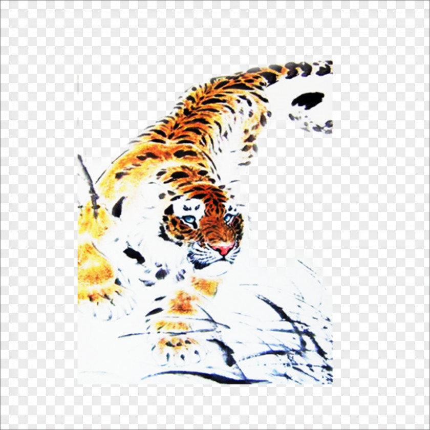 Tiger Lion Leopard PNG