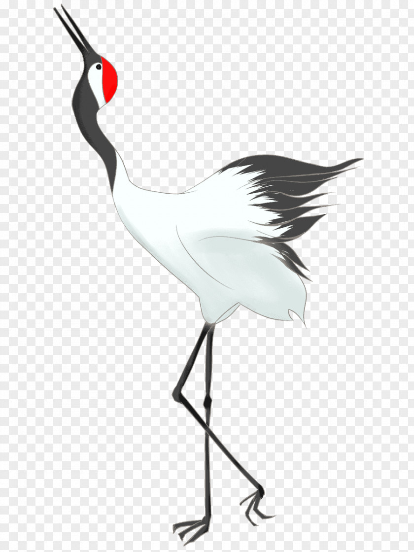 Crane Pelican Bird Beak White Stork PNG