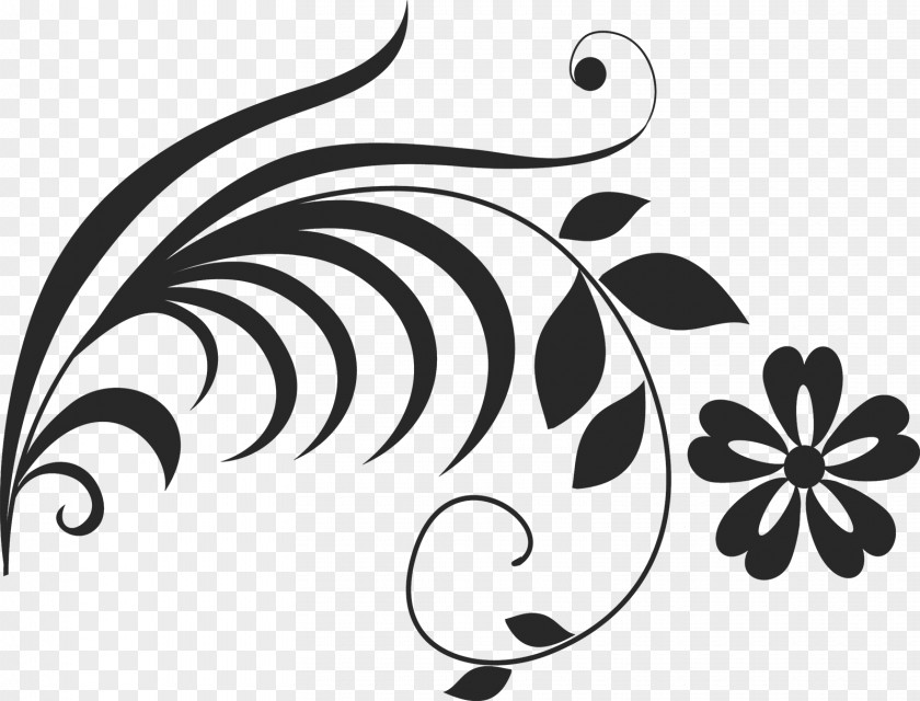 Deco Black And White PNG