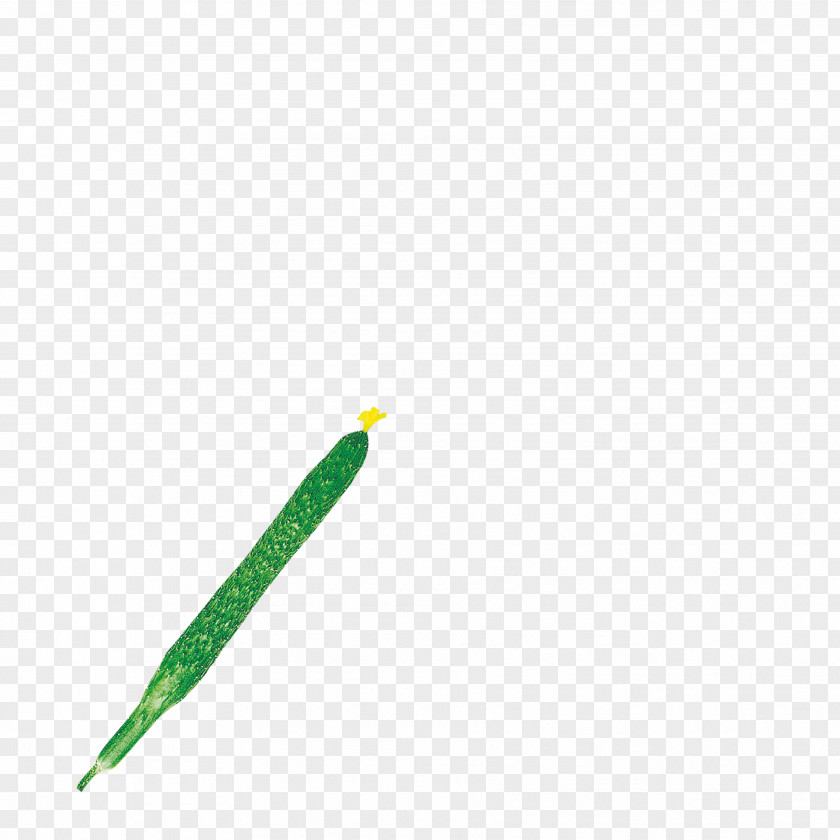 Delicious Cucumber Hunting Bow And Arrow PNG