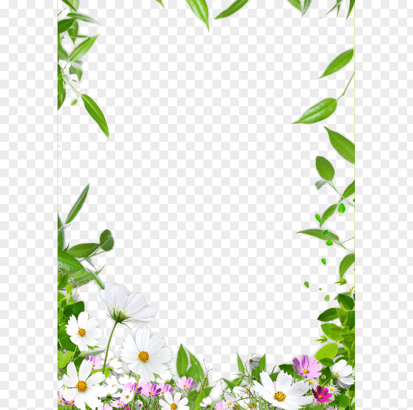Flower Border Picture Frame Drawing Ceiling PNG
