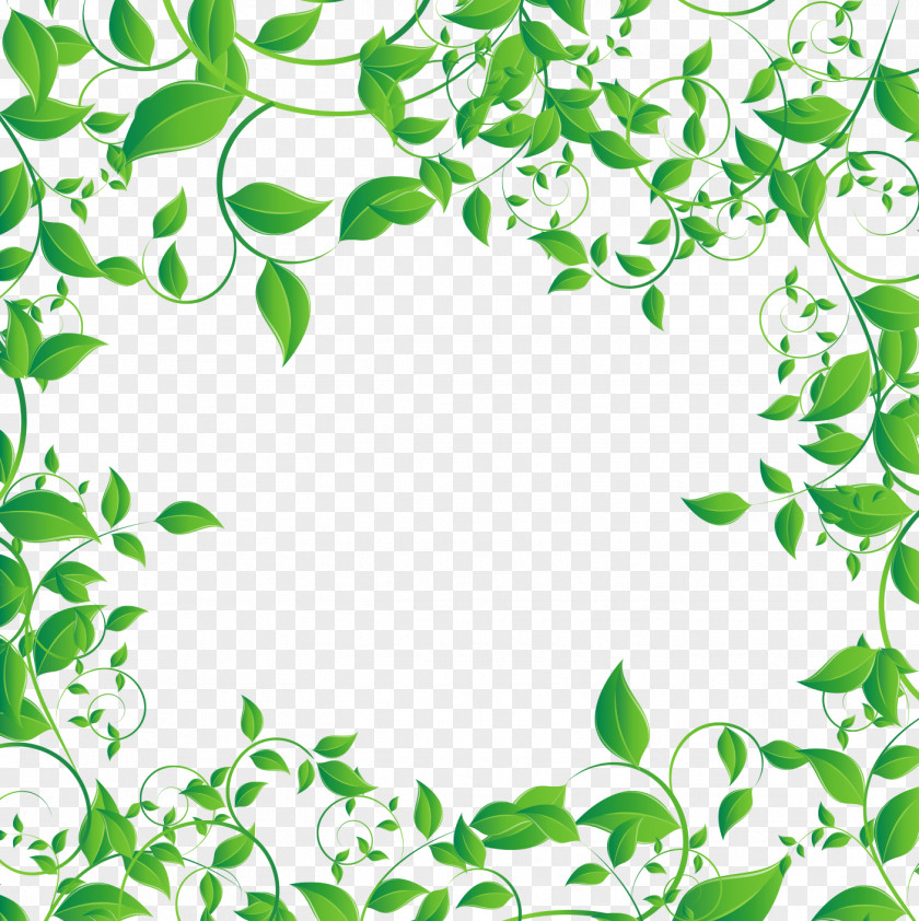 Green Leaf Border Vector Tea Computer File PNG